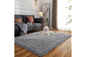 Evitany Area Rugs, Super Soft Fluffy Rugs Living Room, Washable Non Slip Non Shedding Carpet, Large Rugs for Bedroom,Dining Room,Office,Lounge (Grey,120x160 cm)