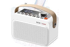 RYCHI DAB/DAB+ & FM Digital Radio,DAB Radio Mains Powered and Rechargeable Battery,80 Preset Stations,DAB Radio with Bluetooth/TF/U Disk,USB Charging,Dual Alarm Clock,Clearly LCD Display,Headphone Jack