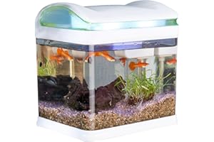 Sweetypet Aquarium: Transport-Fischbecken mit Filter, LED-Beleuchtung und USB, 3,3 Liter (Mini Aquarium, USB, Komplettset)