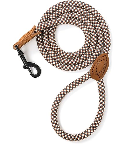 Mile High Life Hundeleine Aus Echtem Leder – Mit Drehbarem Karabiner & Gepolstertem Griff, 1,5 M