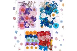 XRUISON 101PCS Real Dried Pressed Flowers Natural Dried Flowers Multicolor Nail Dry Flowers for Resin, Scrapbooking, DIY Candle, Jewelry Pendant Crafts Making