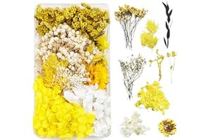 DOG'S BOOTY Trockenblumen zum Basteln Trockenblumen Deko Trockenblumen Klein Getrocknete Blumen Deko Trockenblumen Basteln Trockenblumen Set für DIY Basteln Handwerk Epoxidharz Scrapbooking Dekoration（Gelb）