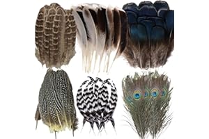 LUMOOM 48 plumas naturales para manualidades, plumas decorativas para manualidades, sombrero de pavo, plumas de pavo real, para atrapasueños, pendientes, disfraces de carnaval, bodas, máscaras de
