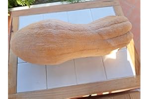 GHINO DI TACCO SEMI ZUCCA VIOLINA -VARIETA' RUGOSA-