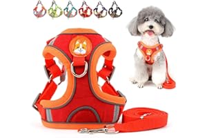 Zunea Ensemble Harnais et Laisse pour Petit Chien Anti Traction Réglable Réfléchissant Chiot Harnais Veste en Daim Souple Anti-Fuite Chat Harnais pour la Promenade pour Chihuahua Yorkshire Rouge S