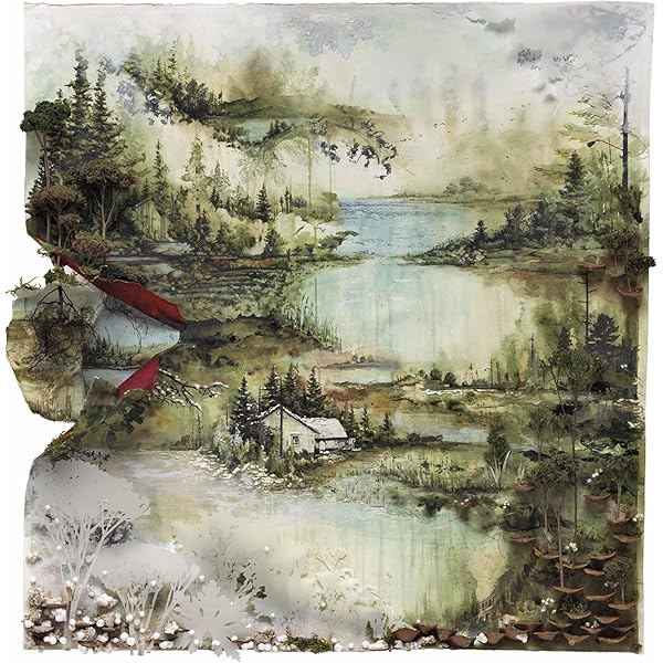 Bon Iver, Bon Iver [10th Anniversary Edition]: Amazon.pl