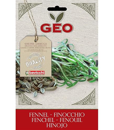 Semi Di Girasole Per Germogli Bio - Geo, Confezione, Per Coltivazione Germogli Ricchi Di Nutrienti - Foto 7