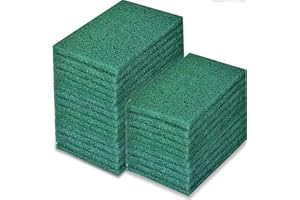 JEGRUDA Scotch Brite Lot de 25 tampons à récurer robustes pour le nettoyage de la vaisselle, de la cuisine et des grilles métalliques Vert 15,2 x 10,2 x 0,8 cm