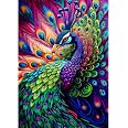DAERLE Paon coloré Peinture Diamant, 5D Diamond Painting DAERLE Paon coloré Peinture Diamant, 5D Diamond Painting