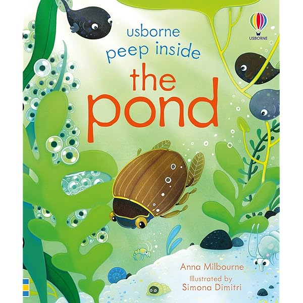 Peep Inside 6 Books Collection Box Set by Usborne (Zoo, Animal