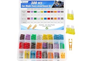 Bolatus 300Pcs Fusibili Auto Kit, Mini & Medio Fusibili Auto Assortiti Kit 2A 3A 5A 7.5A 10A 15A 20A 25A 30A 35A 40A Fusibile per Camper, Auto, Camion, Moto + Estrattori