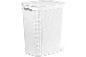 Rotho Brisen - Colector de Lavado de 50 L con Tapa y 2 Asas, Plástico (PP) sin BPA, Blanco, 50 L (43.1 x 34.0 x 52.9 cm)
