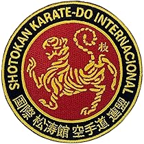 MANIFESTO LA TIGRE De Hong Kong Bruce Lee Arts Martiaux Orient Chine
