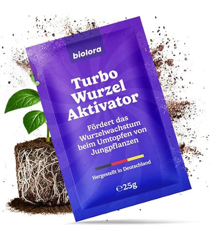 olivenbaum künstlich kaufen Künstlicher Olivenbaum naturgetreu 165cm – Katie Fischer