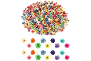 KEMUZ 280 Flores Secas Pequeñas y Delicadas, Mini Flores Secas Naturales, para manualidades,flores naturales en miniatura para uñas DIY,resina epoxi,velas,scrapbooking