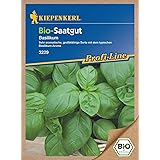 BIO-Basilikum 1 Tüte Samen