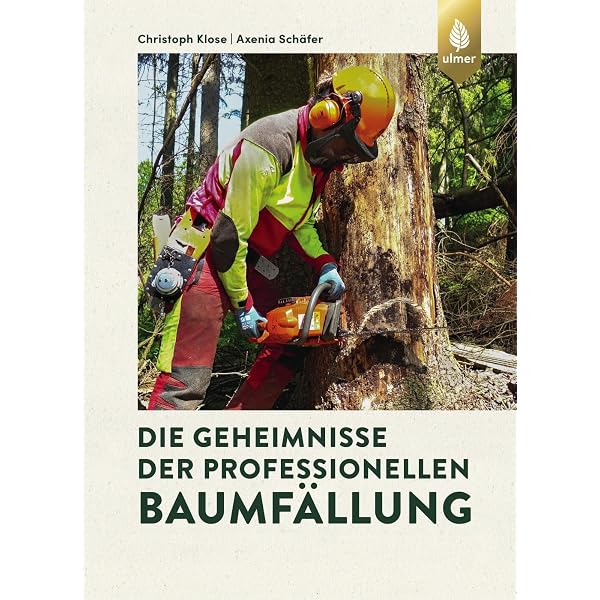 goldfruchtpalme wachstum XXL Goldfruchtpalme 130-140cm – Green Me Up main image 0