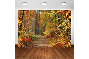 Avezano Herbstlandschaft Laub Hintergrund Laubwaldweg Natürliche Landschaft Hintergrund ree und gelbe Herbstblätter Ansicht Hintergrund Party Dekor Banner Portrait Photo Booth Requisiten (2,1 x 1,5 m)