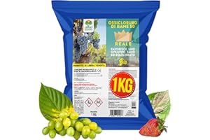 Albagarden - Ossicloruro Di Rame 50% + Boro - Verderame Per Piante, effetto Fungicida per Piante - Concime contro Malattie Peronospora, Bolla del Pesco, Oidio - Polvere Bagnabile Biologica x 1 kg