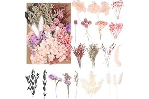Heyu-Lotus Natürliche getrocknte Blumen, echte getrocknte gepresste Bluman DIY gemischte getrocknte Bluman für DIY-Kerzenharz, Schmuck, Nägel, Scrapbooking-Bastelarbeiten
