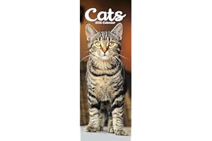 Cats Slim 2026 Calendar | Slimline Wall Calendar | Cat Gift | Plastic Free Packaging | by Avonside Publishing
