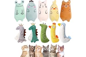 iYInJuan 10pcs Jouet Herbe à Chat, Jouet Peluches pour Chat Interactif Catnip, Jouet pour Chats à Mâcher Peluche Dessin Animé Cataire, Jouets à Nettoyer Les Dents pour Chaton Chat