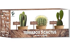 NOPALIA Kit Cactus – Mini kit pronto a crescere (Echinocactus Grusonii, Opuntia Microdasys, Polaskia Chipe) – Piante grasse decorative per interni – Semi biologici, regalo insolito da donna uomo – fai da te