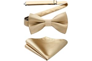 HISDERN Papillon da Uomo e Fazzoletto da matrimonio - già annodato e regolabile papillon formale colore solido set