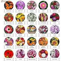 Kraft Seeds Varieties of Summer Flower Seeds (Multicolour, Pack of 25)