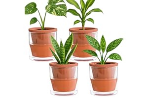 D'vine Dev 4 Inch Design Self Watering Pot for Indoor Plants, Terracotta Planter with Cylinder Glass Cup, Set of 4, 37-Z-A-1-F