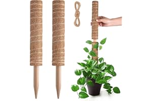 Pisol Palo di muschio, Supporto per bastoncini estensibili, Pali per piante in vaso da interni, Traliccio per piante in fibra di cocco da 40 cm per piante Monstera, Pothos e altre piante rampicanti