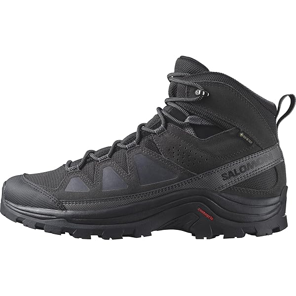 SALOMON Quest 4d Gtx Forces 2 En męskie Gore-Tex czarny 6 : Amazon