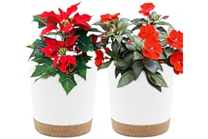 QCQHDU Lot de 2 Pots de Plantes 16.5cm, Pots pour Plantes d'intérieur avec Trous de Drainage et Base Amovible, Soucoupe décorative Moderne pour jardinières d'extérieur (blanc16.5cm)