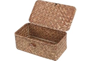FEILANDUO FEIALNDUO - Canastas de mimbre con tapa, cestas de almacenamiento rectangulares tejidas a mano para estantes, organizador de escritorio y hogar (café, XS)