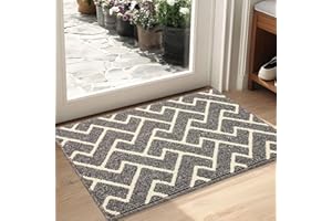 ‎BISCPRO Biscpro Fußmatte Innen 50 x 80 cm, Wasserdicht Türmatte Schmutzfangmatte rutschfest Fussmatte Innen für Eingang, Flur, Garten, Innen, Haustier