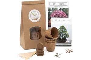 ‎HAPPYSEED HappySeed Bonsai Starter Kit Anzuchtset inkl. GRATIS eBook - Pflanzset aus Kokostöpfen, Samen & Erde - nachhaltige Geschenkidee für Pflanzenfreunde (Wüstenrose + Berg Mammutbaum)