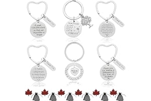 SwirlColor Llavero Profesora, 6pcs Gracias Llavero Significativo Acero Inoxidable Diferente Llavero para el Profesor Instructor Profesor Profesor