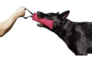 DINGO GEAR WWW.DINGOGEAR.COM 1977 Dingo Gear S00308 - Salchicha mordedora para entrenamiento de perros K9 IGP IPO Obiedence (20 x 7 cm, 1 asa), color rosa