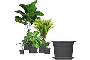 BigDean 5X Blumentopf Ø 30 cm Farbe Anthrazit & Untersetzer Kunststoff Pflanztopf Containertopf Übertopf Pflanzkübel rund 30 x 21 cm Blumentöpfe