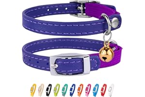 CollarDirect Collier pour Chat en Cuir, Collier de Sécurité avec Sangle Elastique, Collier pour Chaton avec Cloche Noir Bleu Rouge Orange Vert Lime (Violet, 15-18 cm)