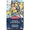 Derwent Studio Colouring Pencils Tin, Drawing & Colouring, Ideal for Illustrating & Detailing, Wax-Based, Professional Quality - 32196 (Set of 12), Multi-Coloured, Multi