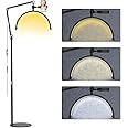 Half Moon Floor Lash Light for Eyelash Extensions Desk Lamp Esthetician Light for Tattoo Artists, Nail Tech, Floor Standing Eyelash Lamp with Phone Holder 3000-6000K 10 Brightness Adjustable (Black)