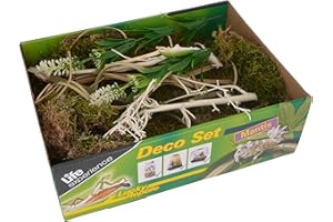Lucky Reptile Life Experience Kit déco pour Petits terrariums Nano