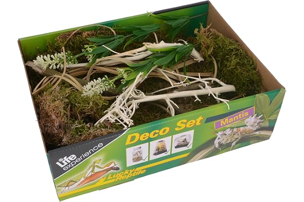 Life Experience Kit déco pour Petits terrariums Nano