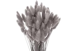 JKDHJK 50 Stäbchen Pampasgras Trockenblumen Verwelken Nie Trockenblumen Deko Boho Deko Super Flauschig Für Deko Schlafzimmer, Badezimmer Deko, Tischdeko, Wand Deko (Grauschwarz)