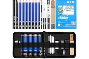 Coolzon Matite da Disegno, 35 pz Artista Set Valigetta Disegno con Matite da Schizzo/Fusaino/Grafite, Gomma Coltello Extensore