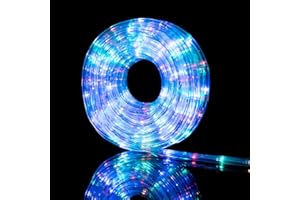 Nataland Tubo Luminoso 10 Metri con 240 Led, Controller 8 Funzioni Con Illuminazione Per Interno Ed Esterno, Perfetto Per Decorare Casa, Giardino, Vetrine e Negozio (Multicolor, 240 Led - 10 Metri)