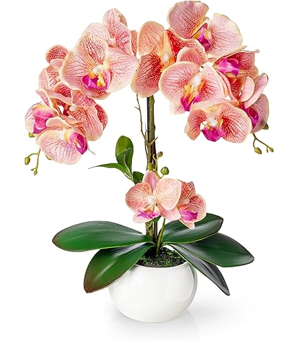 Kunstplant Phalaenopsis in pot wit H 36 cm kopen