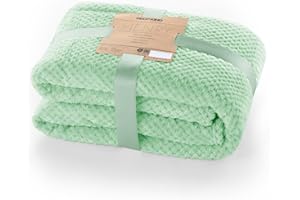 DecoKing Kuscheldecke 70x150 cm Pfefferminze Decke Microfaser Wohndecke Tagesdecke Fleece weich sanft kuschelig skandinavischer Stil Minze Henry
