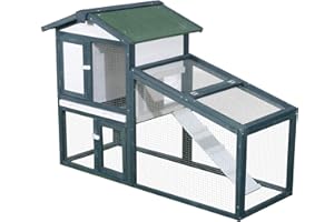 PawHut Gabbia per Conigli Animali in Lengo di Abete Doppia Porta 140 x 65 x 100cm Verde e Bianco